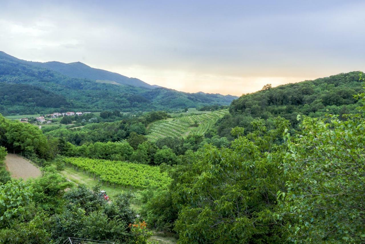 فندق Cebron Family Estate Branik المظهر الخارجي الصورة