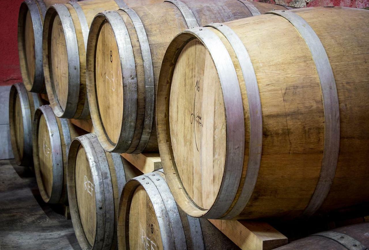 فندق Cebron Family Estate Branik المظهر الخارجي الصورة