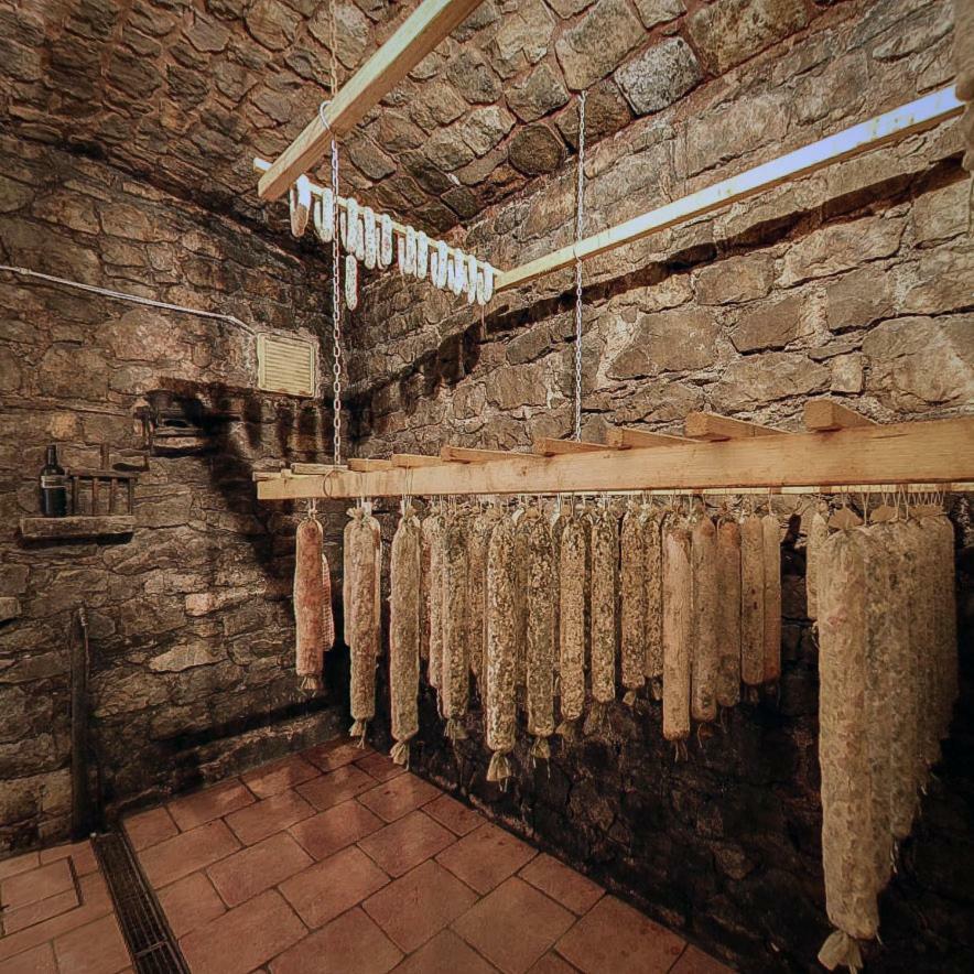 فندق Cebron Family Estate Branik المظهر الخارجي الصورة