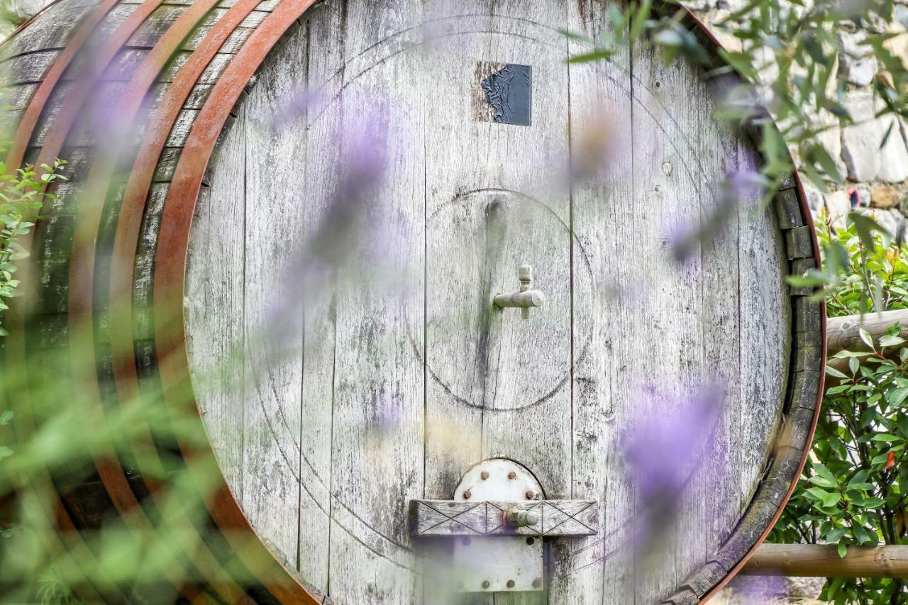 فندق Cebron Family Estate Branik المظهر الخارجي الصورة