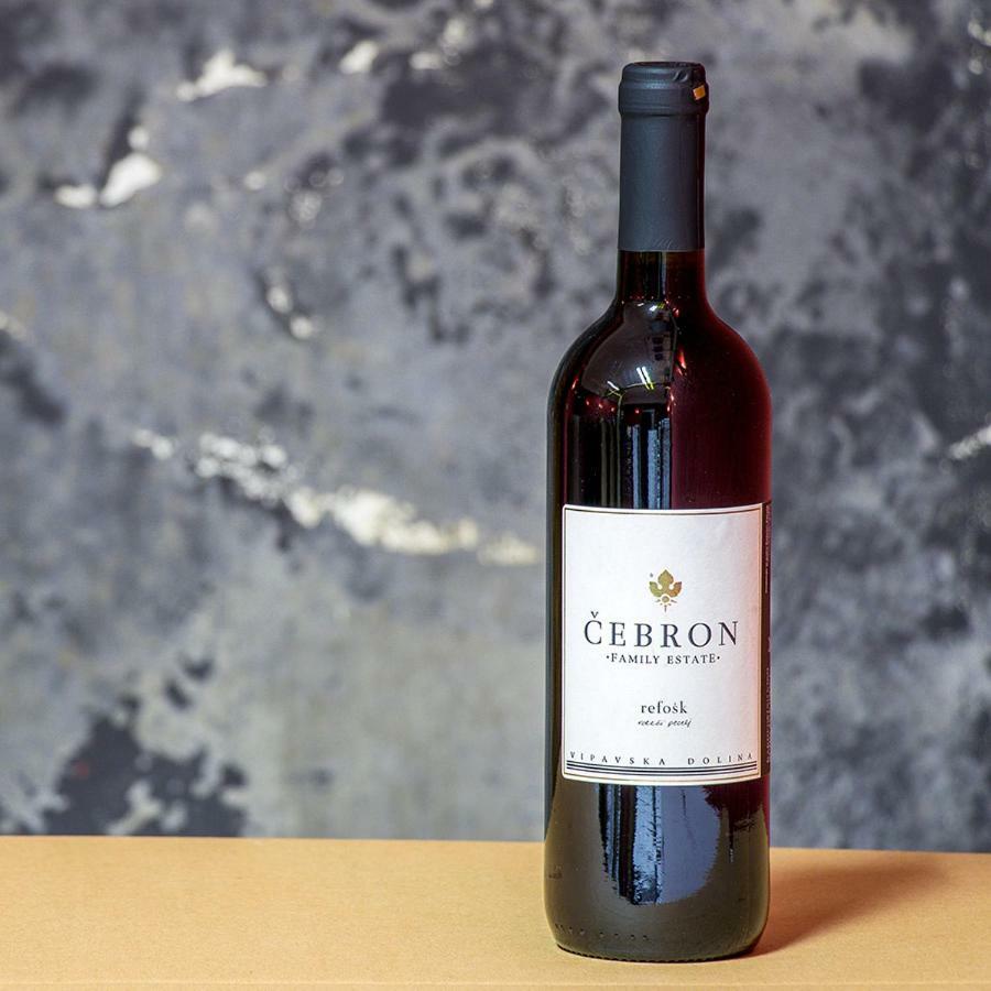 فندق Cebron Family Estate Branik المظهر الخارجي الصورة